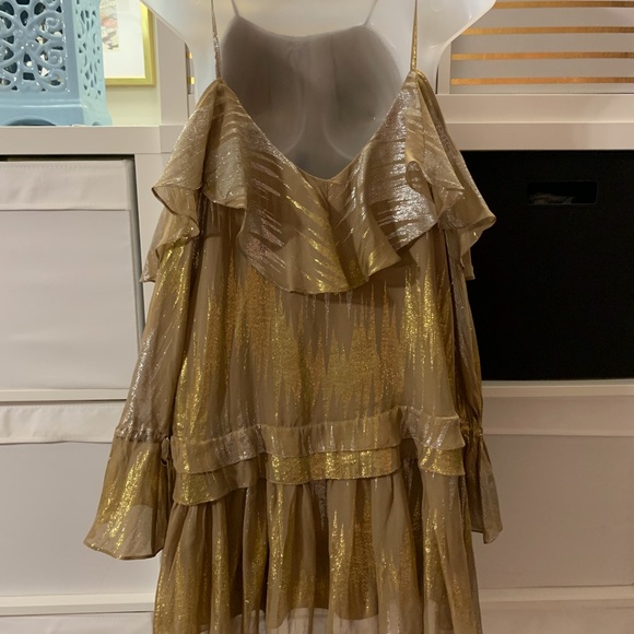 Limited edition free people silk metallic party 👗 - Picture 7 of 13
